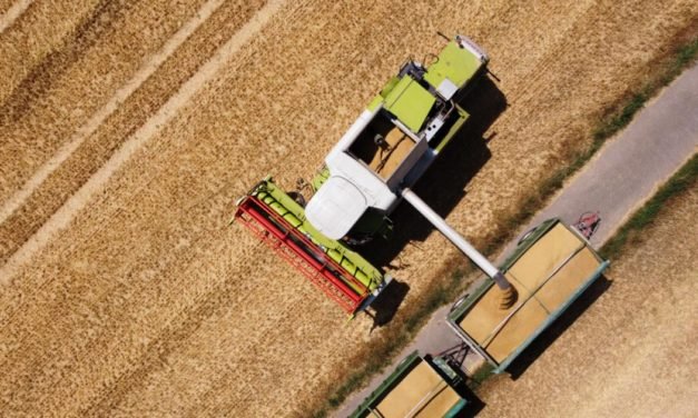 Neues Gesetz soll Bauern vor Marktmacht des Handels schützen