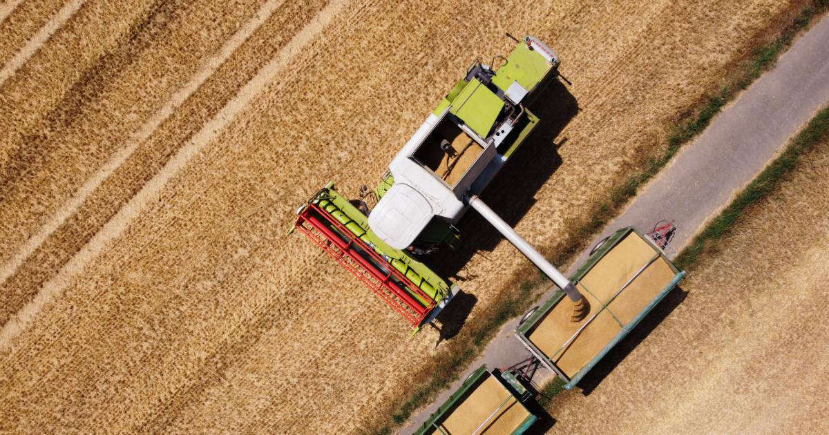 Neues Gesetz soll Bauern vor Marktmacht des Handels schützen