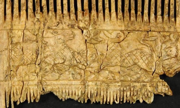 Bayern: Kostbarer Elfenbeinkamm aus dem 6. Jahrhundert entdeckt