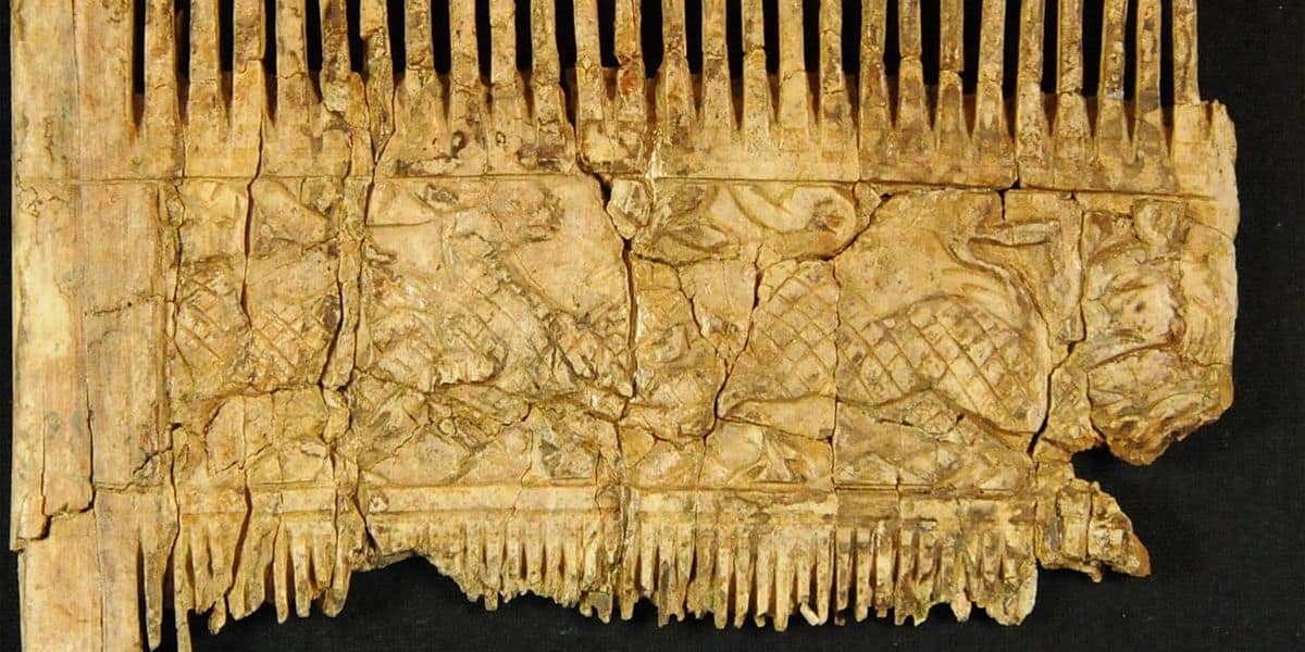 Bayern: Kostbarer Elfenbeinkamm aus dem 6. Jahrhundert entdeckt