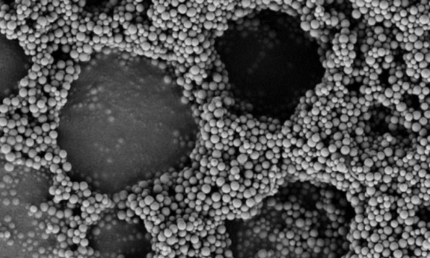 Eiweißmoleküle lassen neue Materialien aus Nanopartikeln „wachsen“