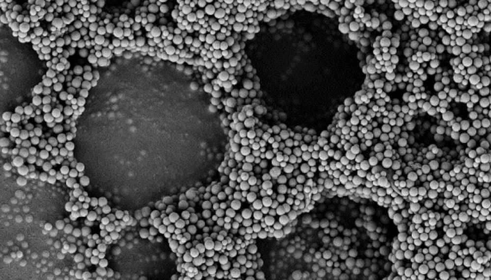 Eiweißmoleküle lassen neue Materialien aus Nanopartikeln „wachsen“
