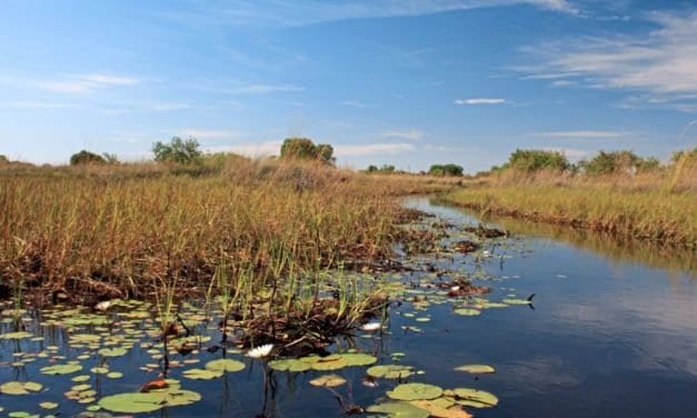 Bedrohliche Ölbohrungen im Süden Afrikas