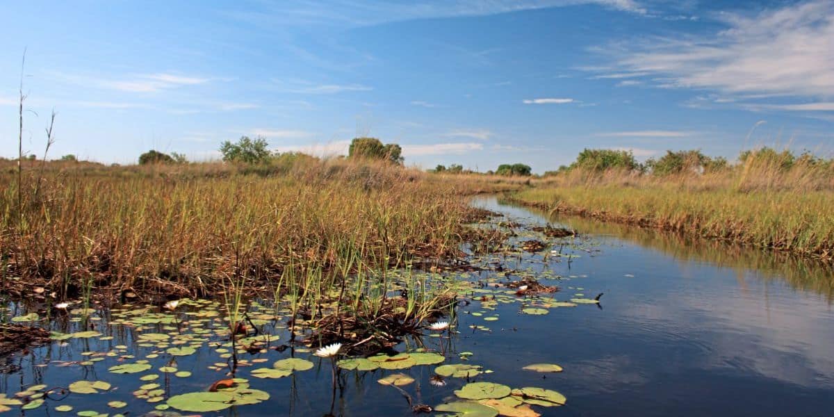 Bedrohliche Ölbohrungen im Süden Afrikas