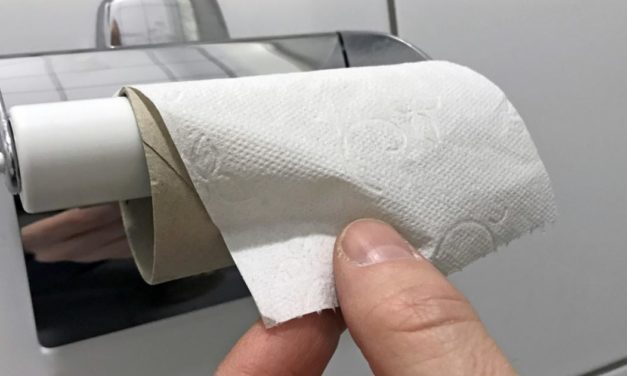 Toilettenpapier könnte im Winter deutlich teurer werden