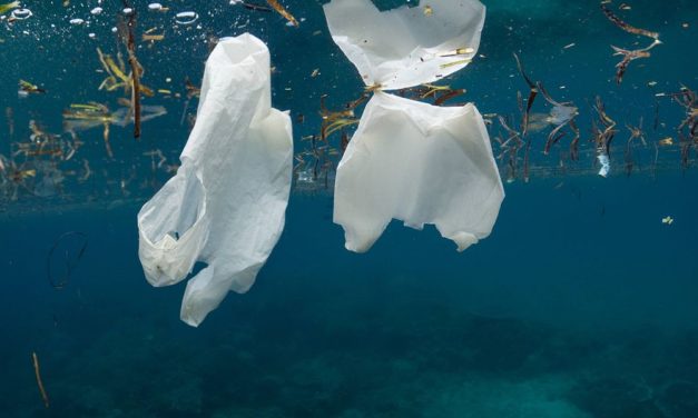 Verdrecktes Mittelmeer: Alleine an der Oberfläche treiben 3.760 Tonnen Plastikmüll