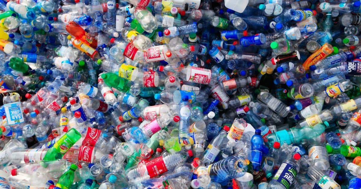 Erfolg für Umwelt: Plastikpfand im Supermarkt scheint fix