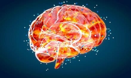 Nervenzellenatlas setzt Meilenstein in Hirnforschung