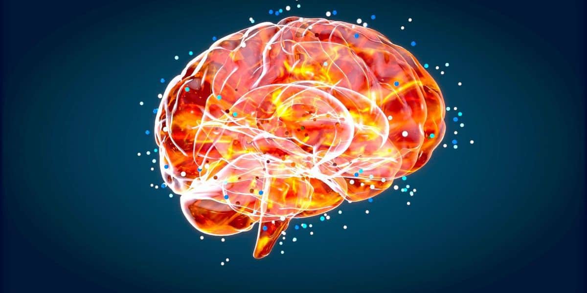 Nervenzellenatlas setzt Meilenstein in Hirnforschung