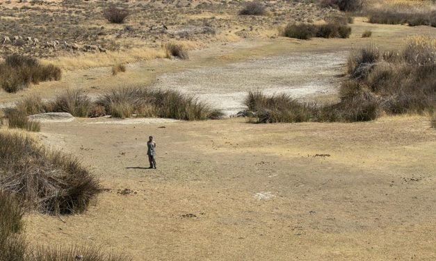 Weltorganisation für Meteorologie warnt vor globaler Wasserkrise