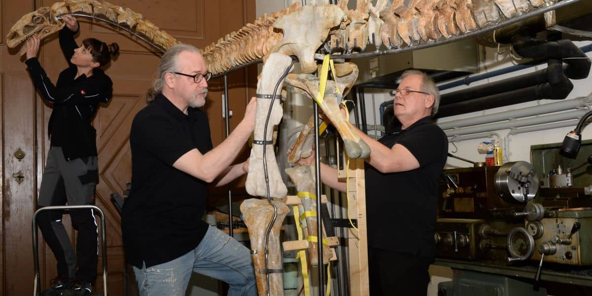 Schweizer Dino in Wien eingezogen