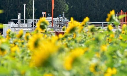 Erste Schritte auf dem Weg zum Ökostahl