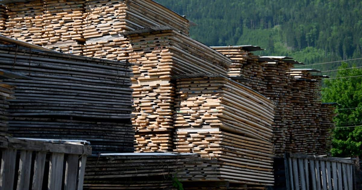 Tiroler Binderholz will größte britische Sägewerksgruppe übernehmen