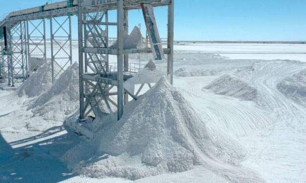 Tesla Werk Grünheide in der Nähe: Neue Lithium-Fabrik soll Bedarf von 500.000 E-Autos decken
