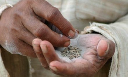 Menschen konsumierten schon vor mehr als 12.000 Jahren Tabak