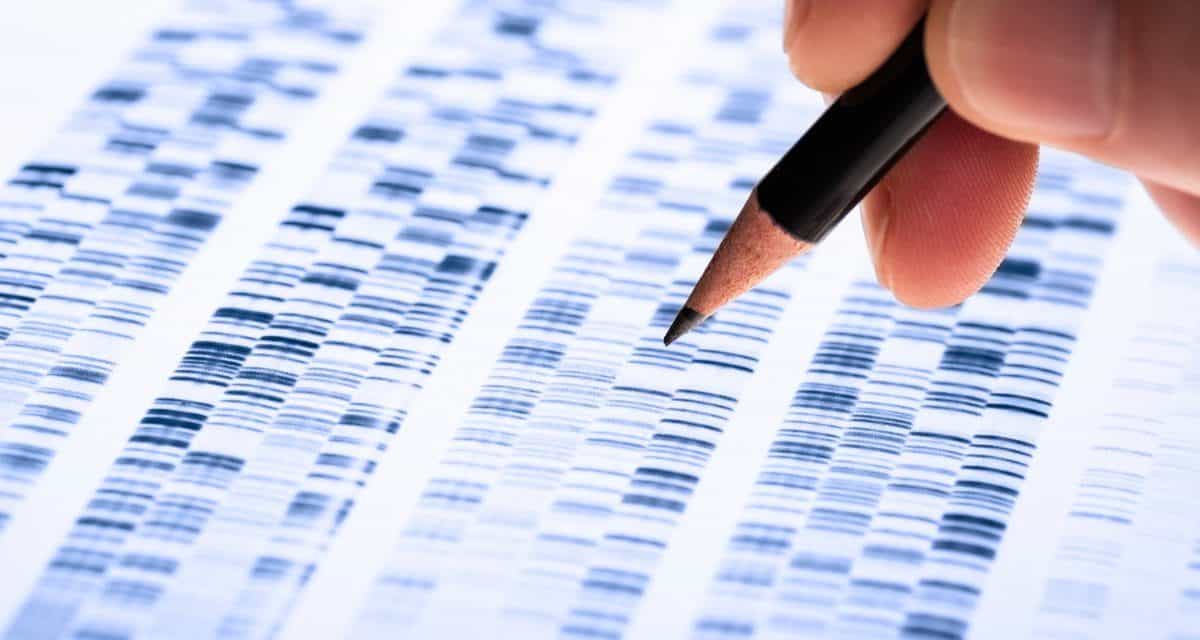 Data Science: Apache Hop Orchestration Platform 1.0 kommt ohne Code aus