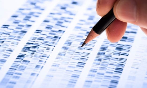 Data Science: Apache Hop Orchestration Platform 1.0 kommt ohne Code aus