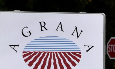 Agrana will Ergebnisrückgänge im zweiten Halbjahr in Wachstum umwandeln