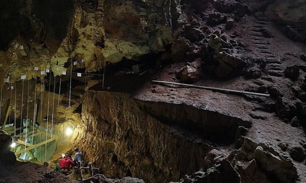 Der frühe Homo sapiens konnte auch im Dschungel gut überleben