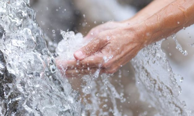 Warum wir das beste Trinkwasser haben und trotzdem damit das Klo spülen