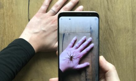 Virtueller Angstgegner mit acht Beinen