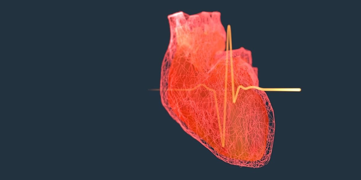 Personalisiertes Herz aus Bits und Bytes erleichtert künftige Therapien
