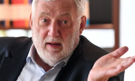 Fischler: Schmid wollte IHS-Direktor mitbestimmen