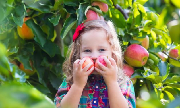 Simpler Trick: Wie man Kinder dazu bringt, mehr Obst und Gemüse zu essen