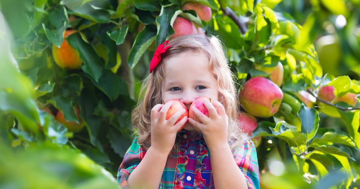 Simpler Trick: Wie man Kinder dazu bringt, mehr Obst und Gemüse zu essen