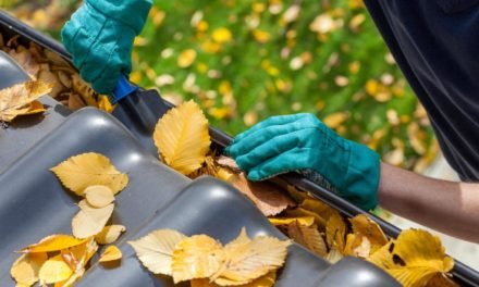 Haus und Garten winterfit: Der erste Frost kann kommen