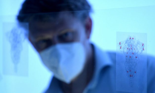 Wie besorgniserregend ist die Delta-Untervariante AY.4.2 wirklich?