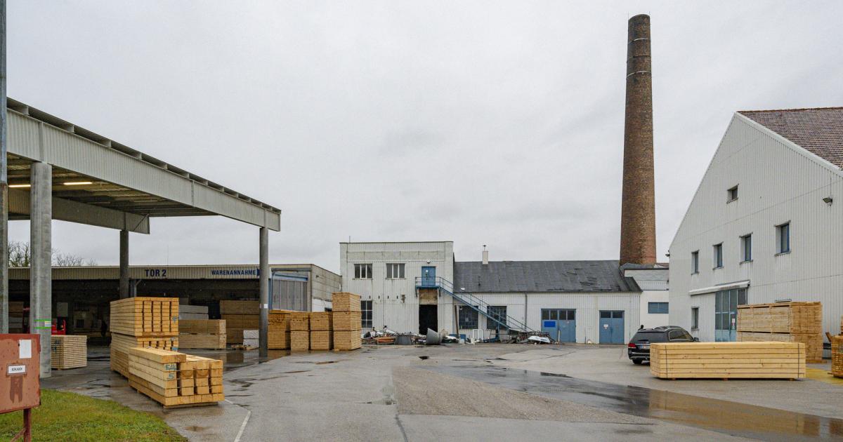 Jobgarantie für Langzeitarbeitslose: Marienthal präsentiert erste Ergebnisse