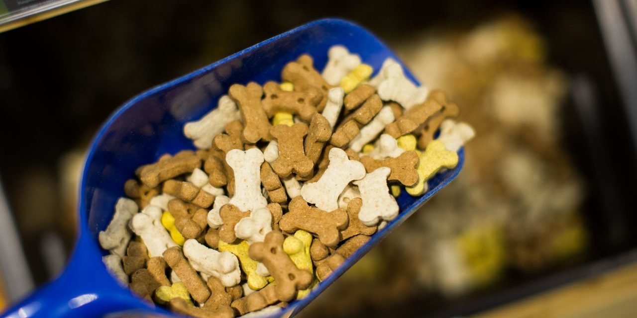 Zooplus: Hellman & Friedman verbündet sich mit EQT für gemeinsame Übernahme