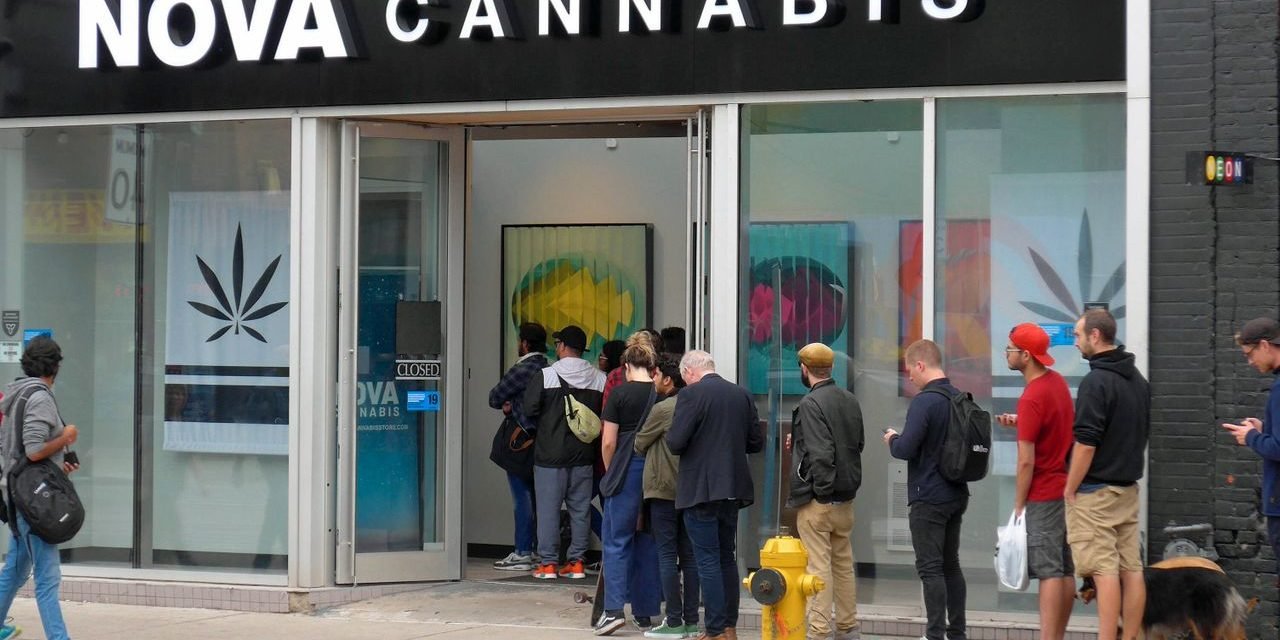 Cannabis Legalisierung: Diese Firmen stehen bereit für den deutschen Markt