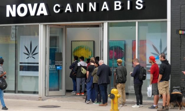 Cannabis Legalisierung: Diese Firmen stehen bereit für den deutschen Markt