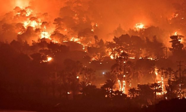 Wie wir uns besser auf Waldbrände vorbereiten können