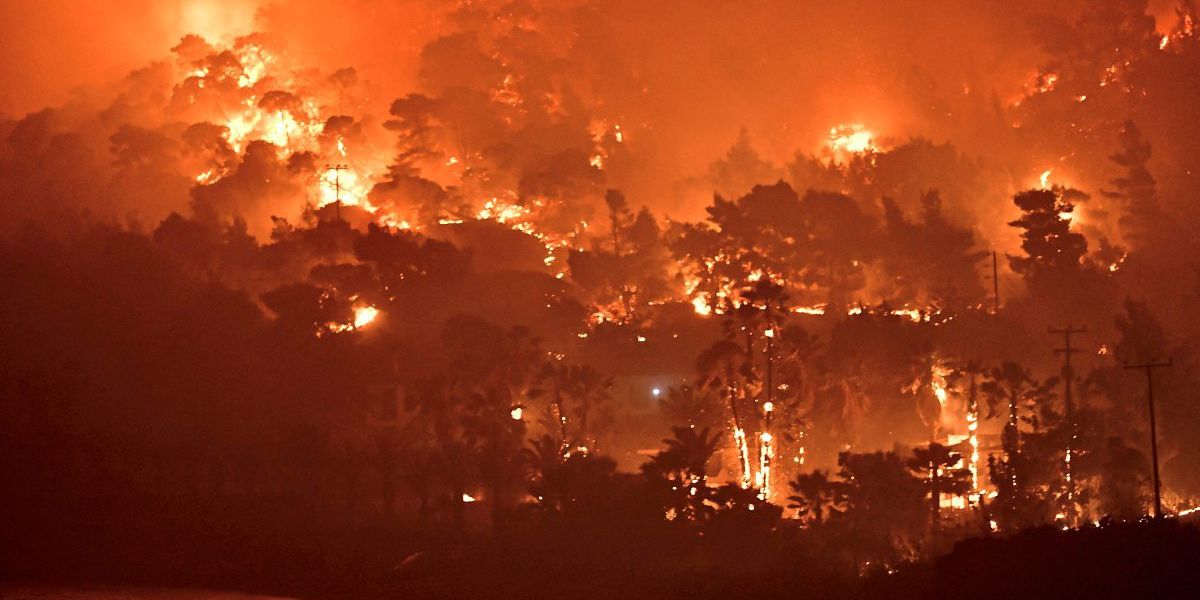 Wie wir uns besser auf Waldbrände vorbereiten können