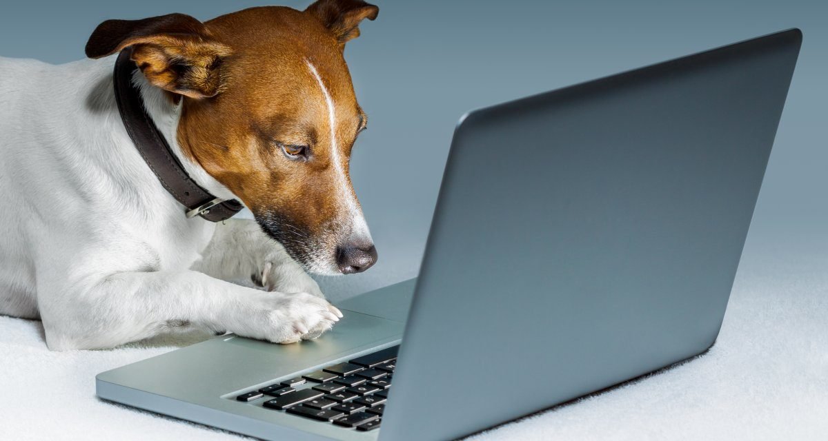 Datadog: Performance-Monitoring schon beim Testen