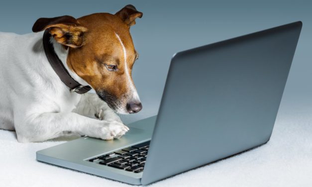 Datadog: Performance-Monitoring schon beim Testen