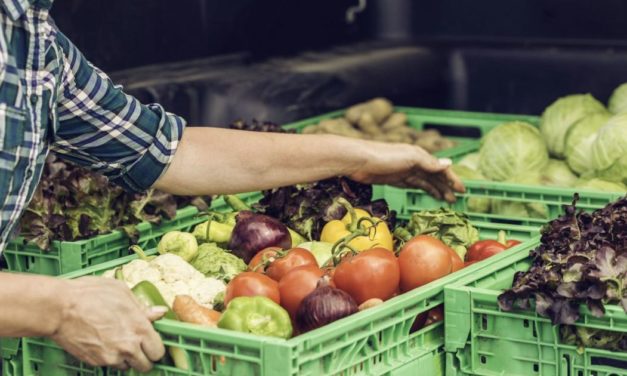 Österreich belegt weltweiten Spitzenplatz bei Ernährungssicherheit