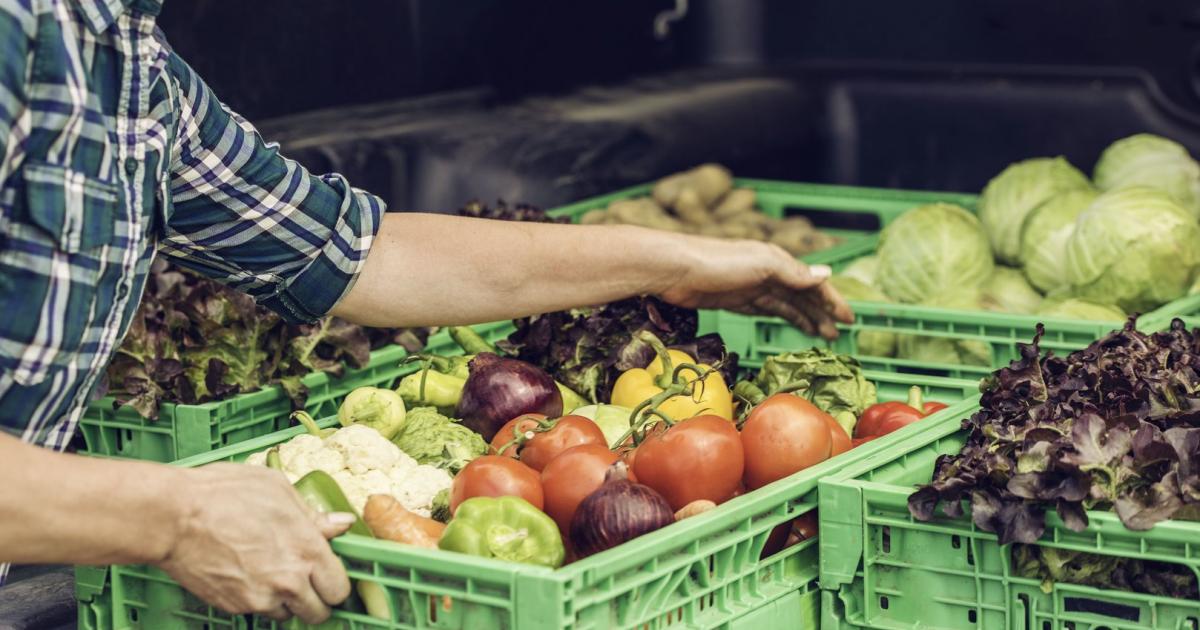 Österreich belegt weltweiten Spitzenplatz bei Ernährungssicherheit