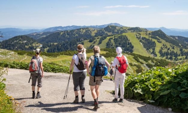 Österreich profitiert vom eingeschränkten Reiseradius
