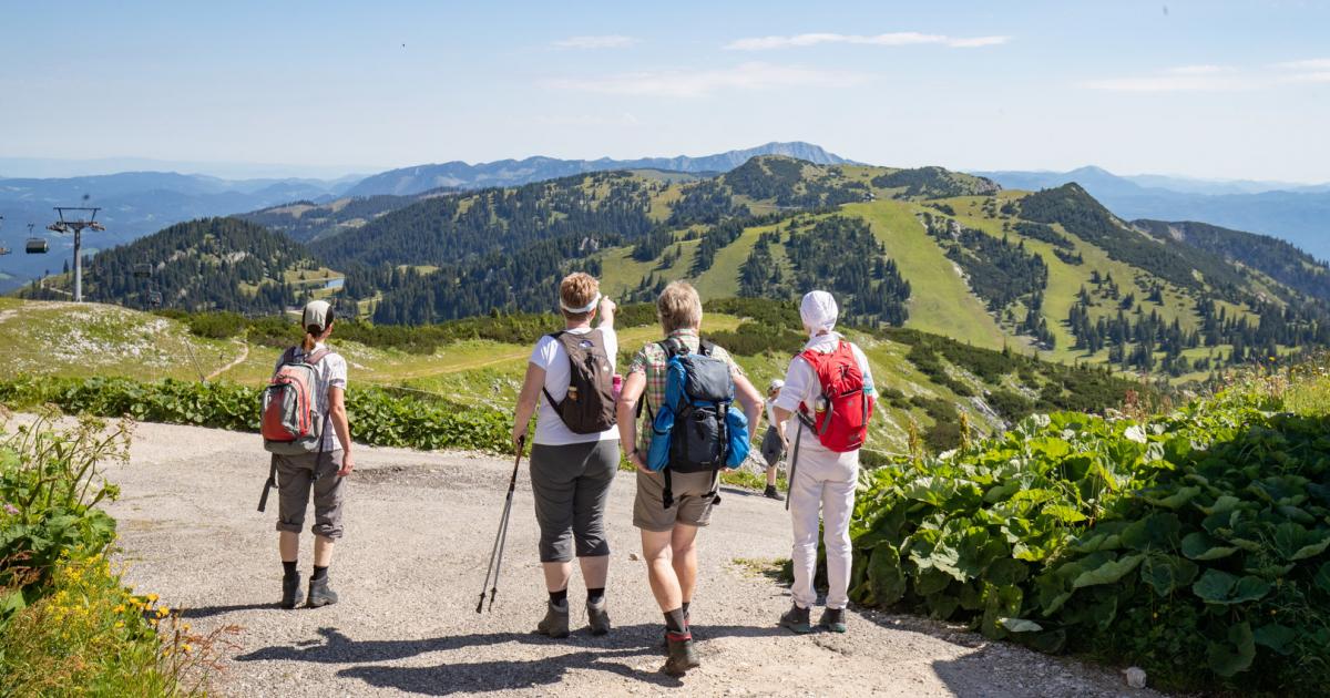 Österreich profitiert vom eingeschränkten Reiseradius
