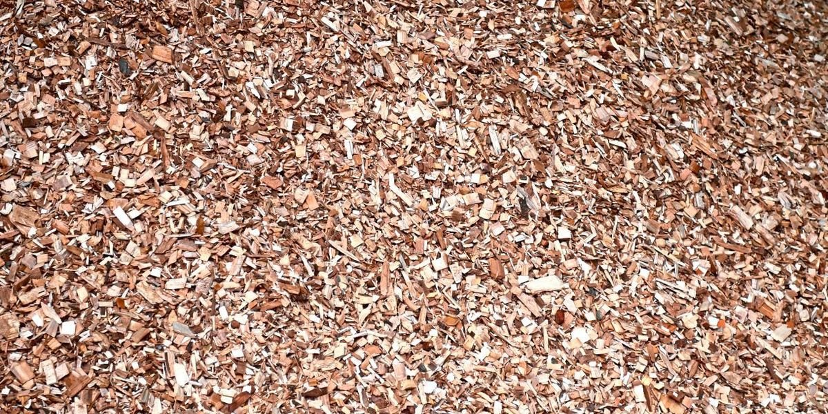 Wie sich aus Holzresten Sonnencreme herstellen lässt