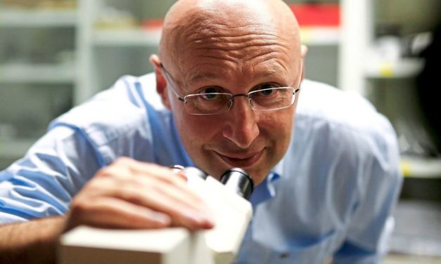 Nobelpreisträger Hell: „Ich war ein Nobody in der Wissenschaft“