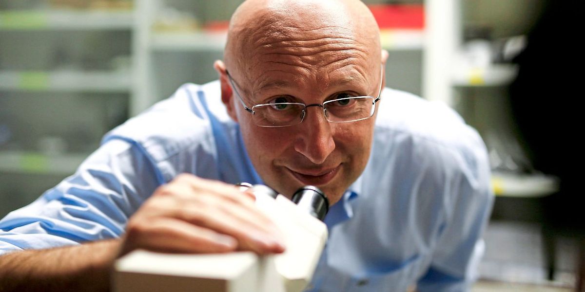 Nobelpreisträger Hell: „Ich war ein Nobody in der Wissenschaft“