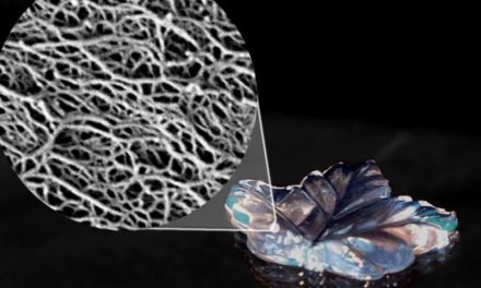 Neue Wege zu Supermaterialien aus Cellulose