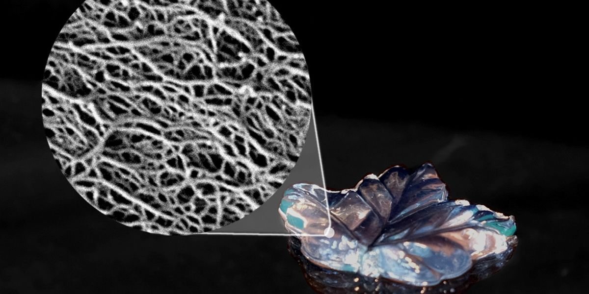 Neue Wege zu Supermaterialien aus Cellulose