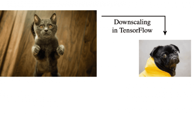l+f: Wenn Computer Katzen in Hunde verwandeln