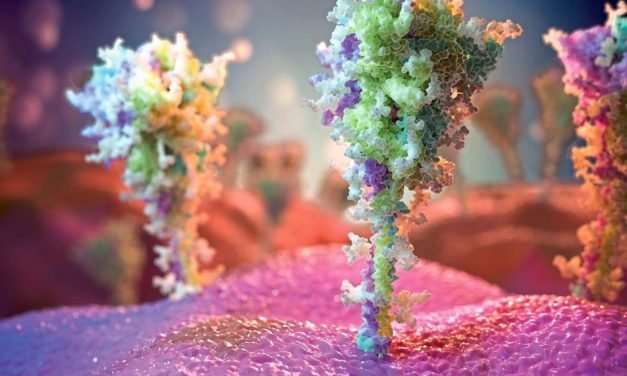 Coronaforschung zeigt, wie komplexe Modelle für Durchblick sorgen